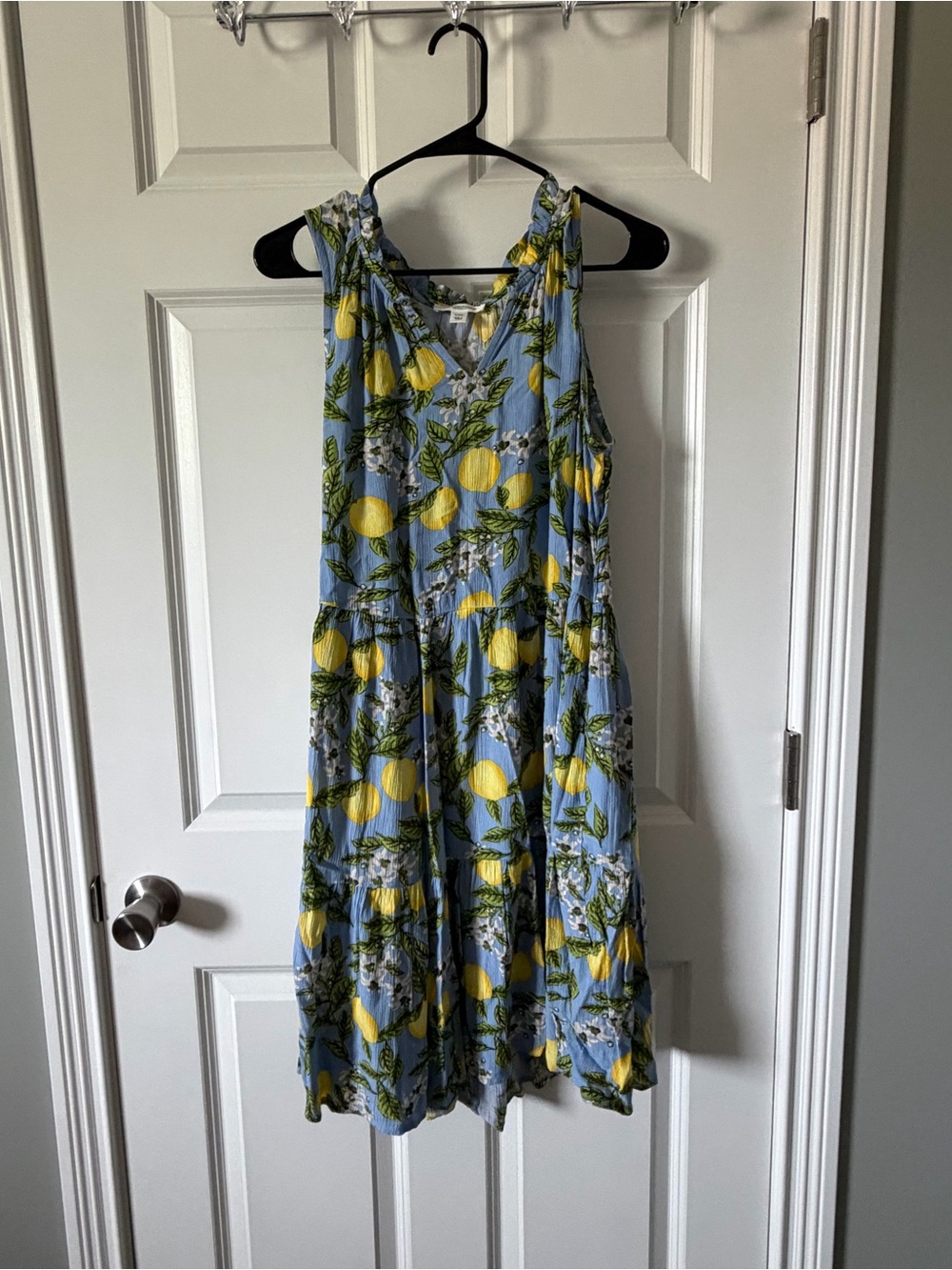 Sleeveless Blue Lemon Print Sundress-L